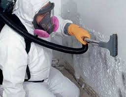 Best Real Estate Mold Inspection  in Unionville, MO